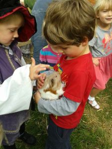 boys holding a guinea pig